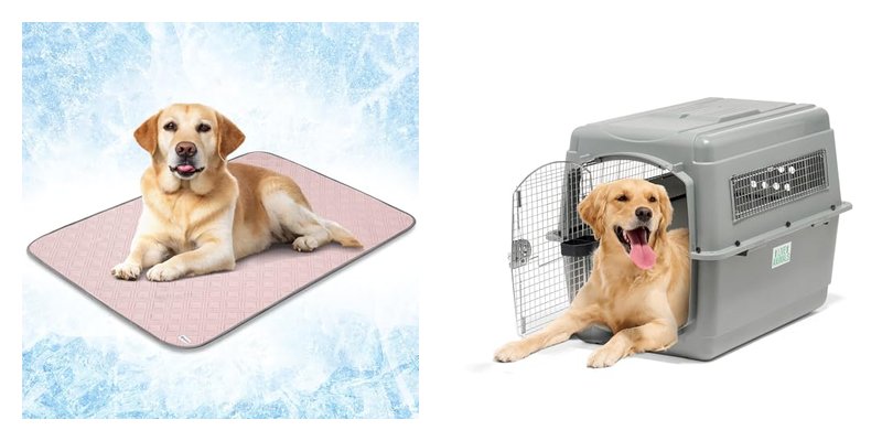 Dog Crate Air Conditioner Alternatives and Cooling Solutions for Pets