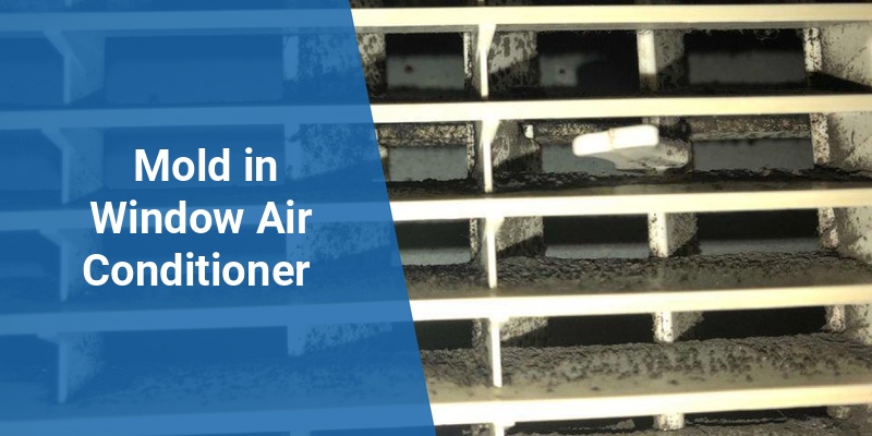 mold in window air conditioner