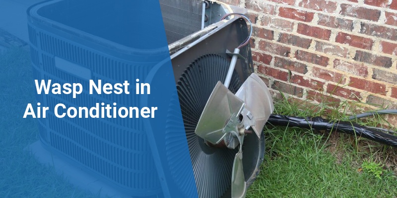 wasp nest in air conditioner