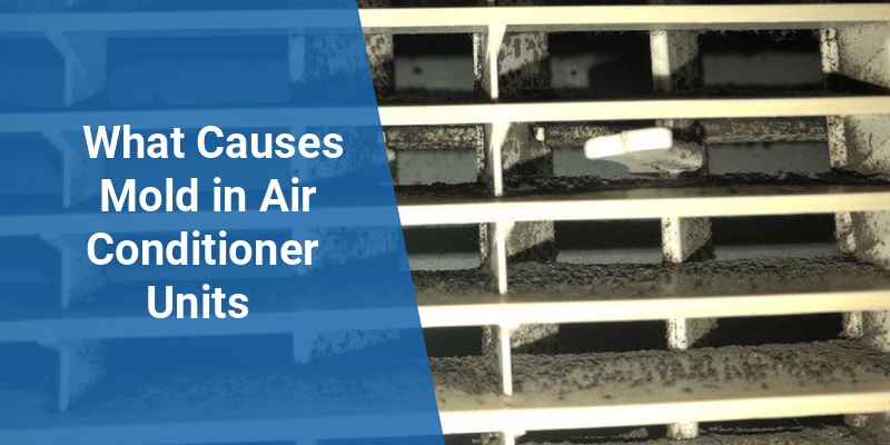 what causes mold in air conditioner